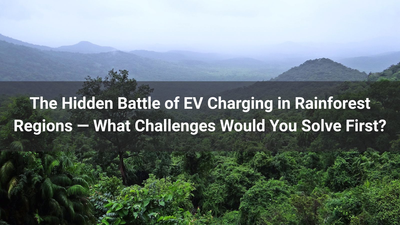 Скрытая битва за зарядку электромобилей в регионах с тропическими лесами 
   —Какие задачи вы бы решили в первую очередь?
   